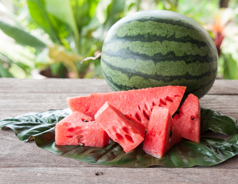 watermelon(西瓜)