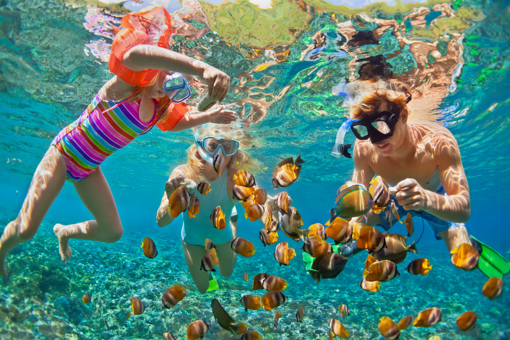 children-swimming-with-fishes