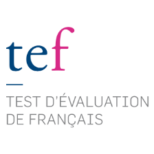 Top 15 French Proficiency Tests for Any Level [2024] | FluentU French