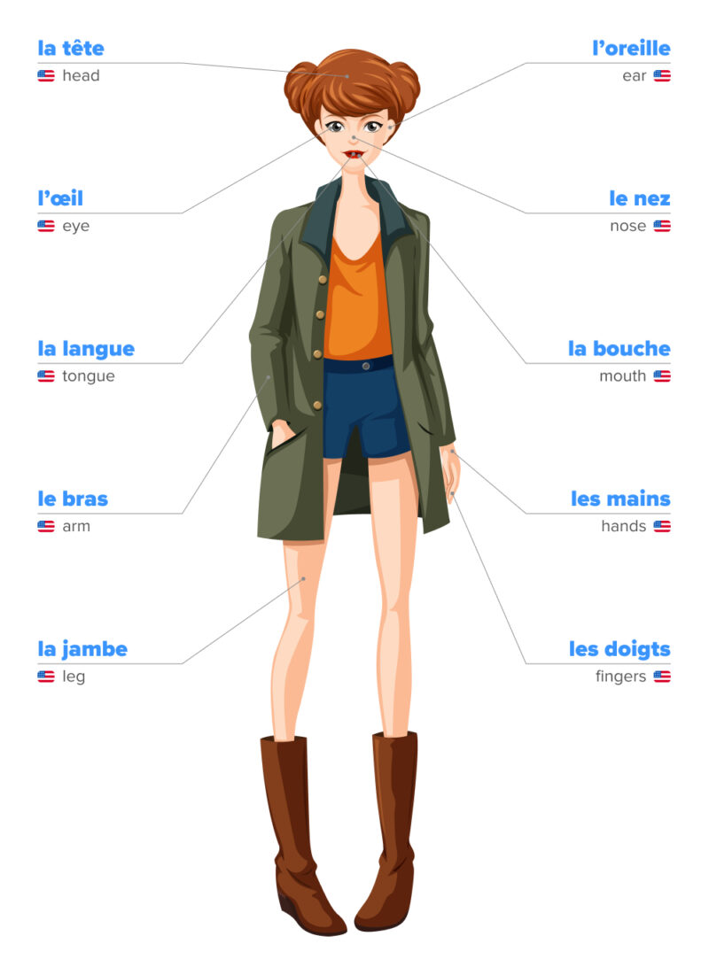 Body Parts In French Master Important Vocab From Head To Toe Fluentu
