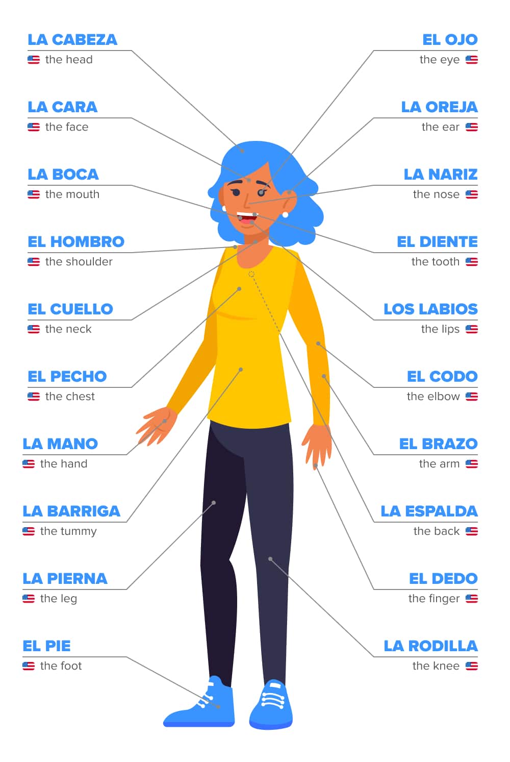 Body Parts In Spanish Inforgraphic 