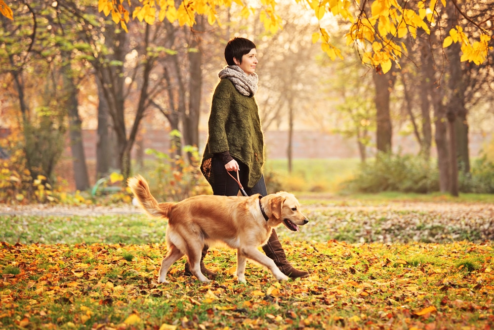 woman taking her dog for walk in the park