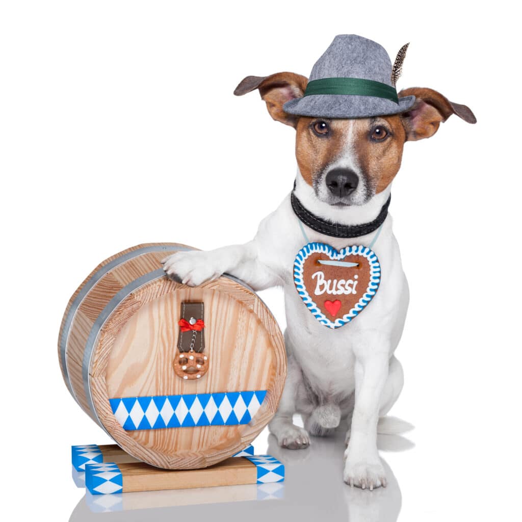 dog with a keg wearing a fedora