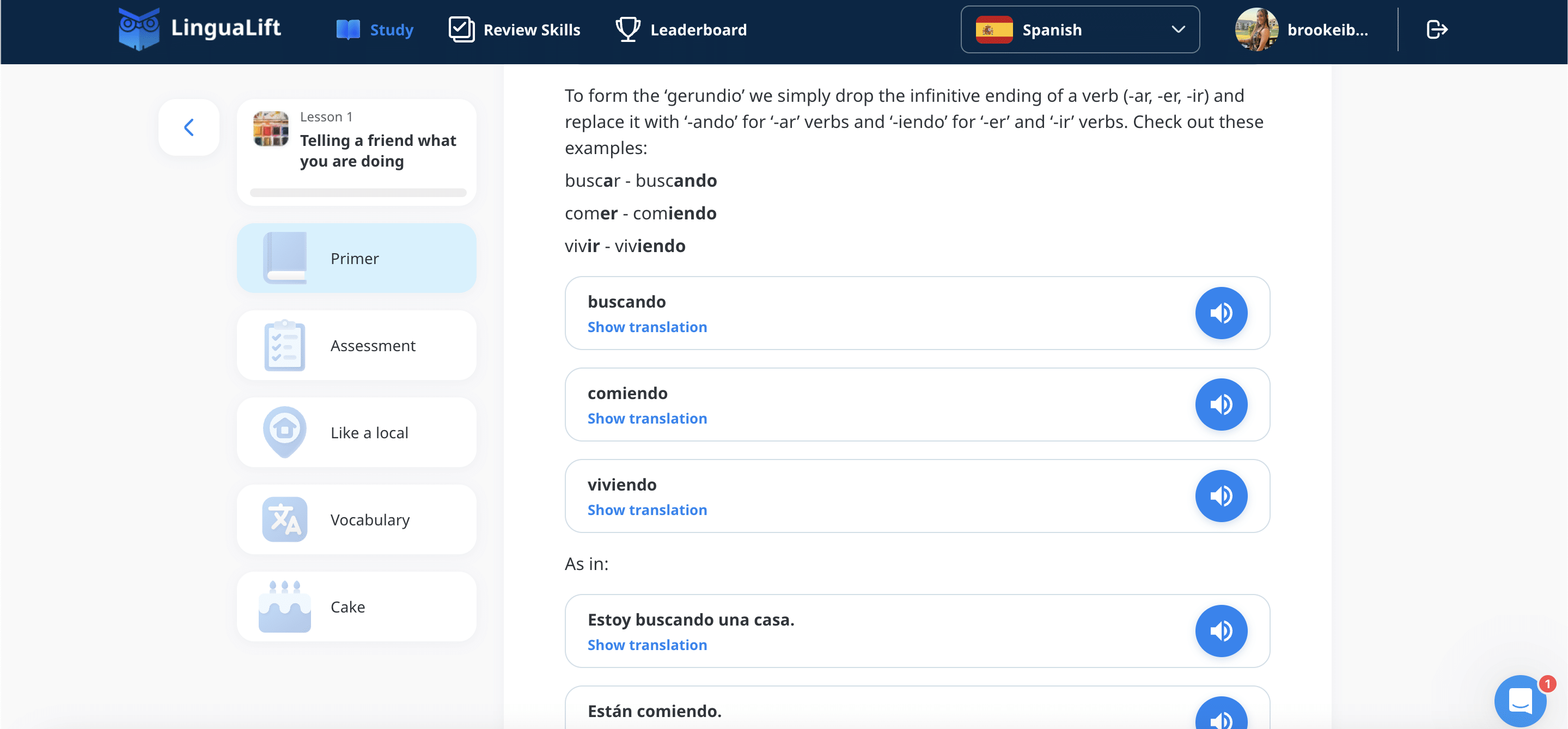 lingualift spanish level four lesson one primer screenshot