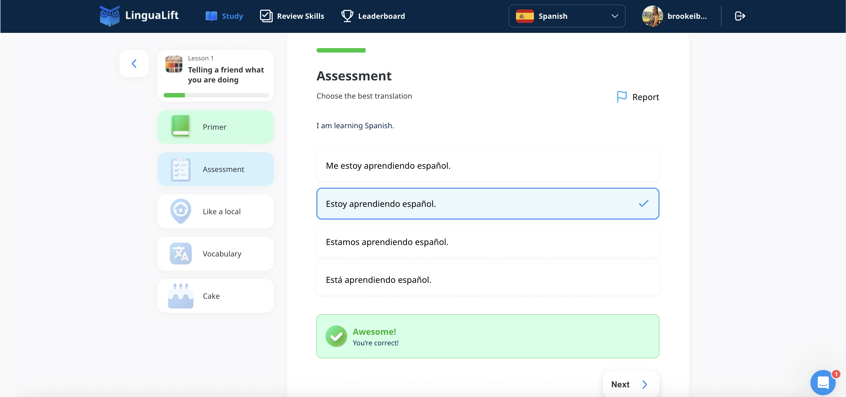 lingualift level four lesson one assessment screenshot