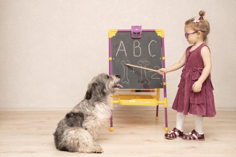 toddler teaching dog the ABCs on a blackboard