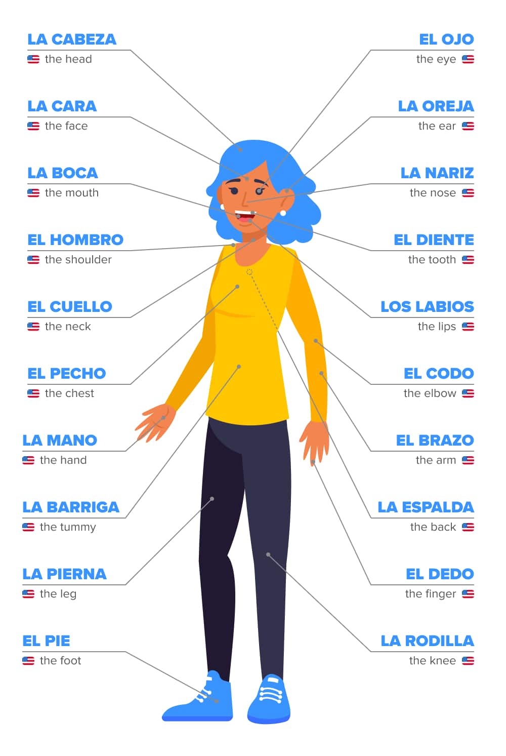 body parts in spanish infographic