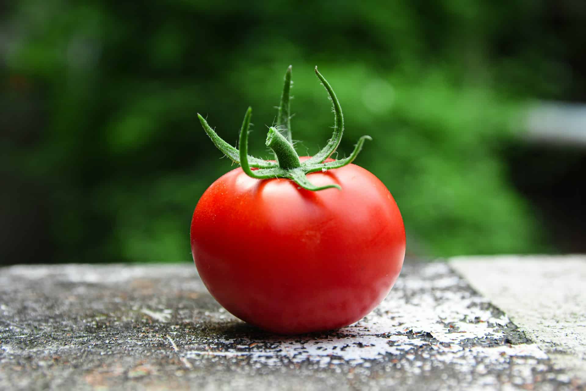 fresh-shiny-red-tomato-on-gray-concrete