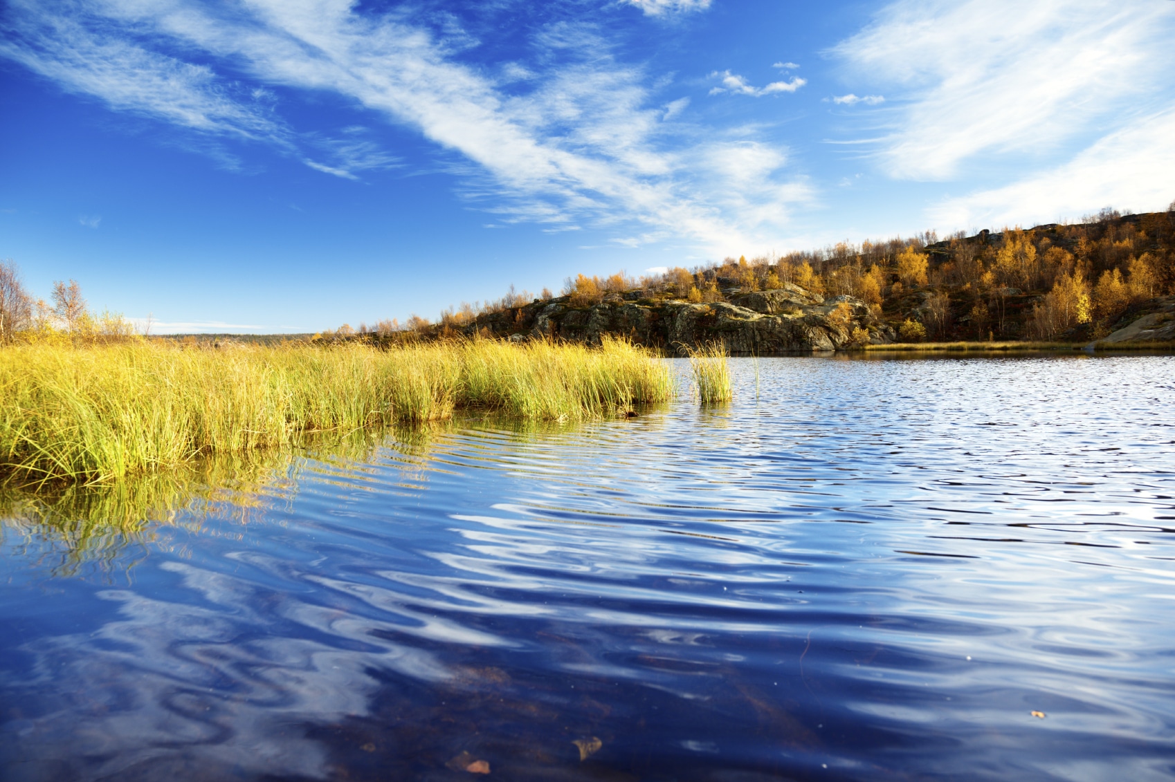 lake-with-marsh-grass