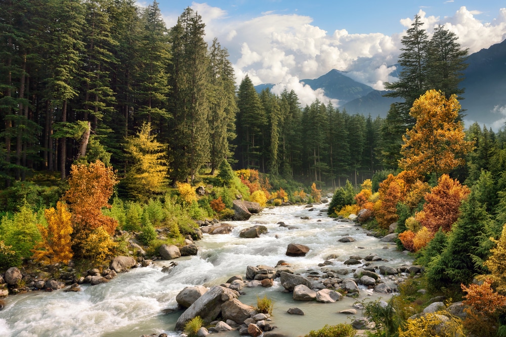 river-forest-and-mountains