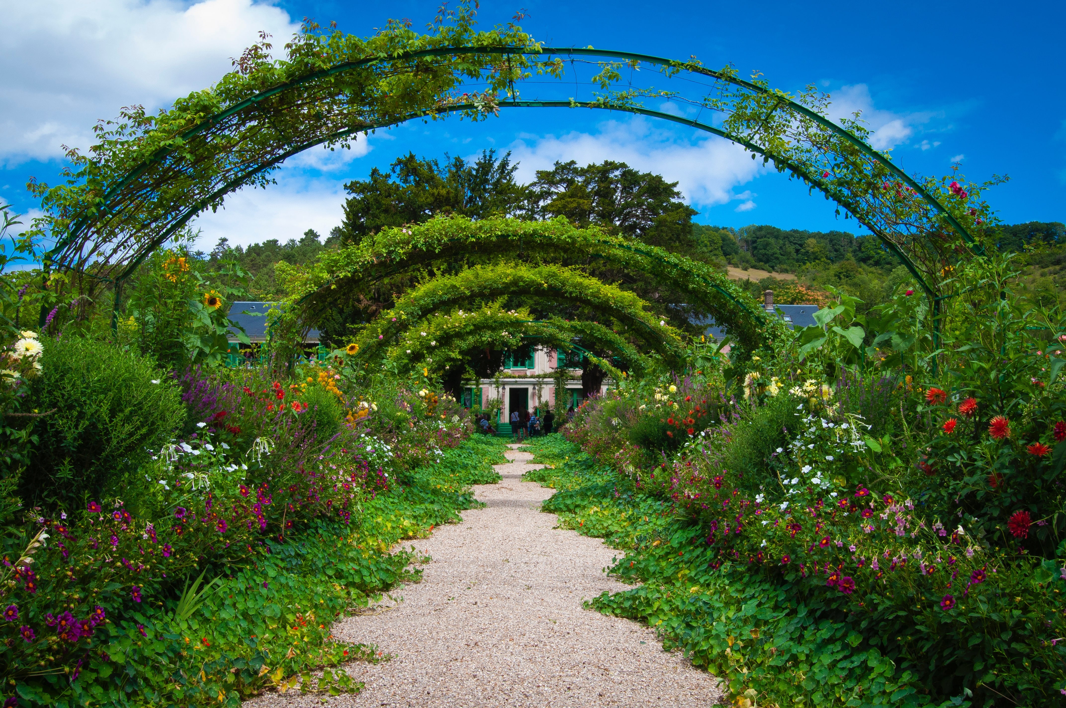 A garden pathway in summer