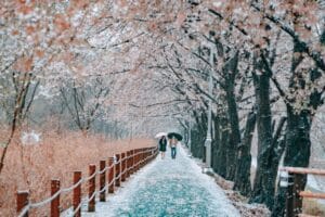 two people walking on a snowy walking path