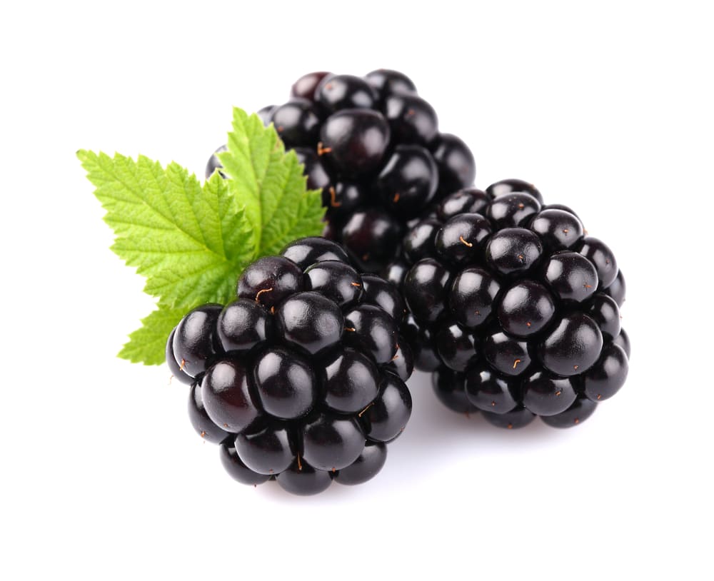 blackberries