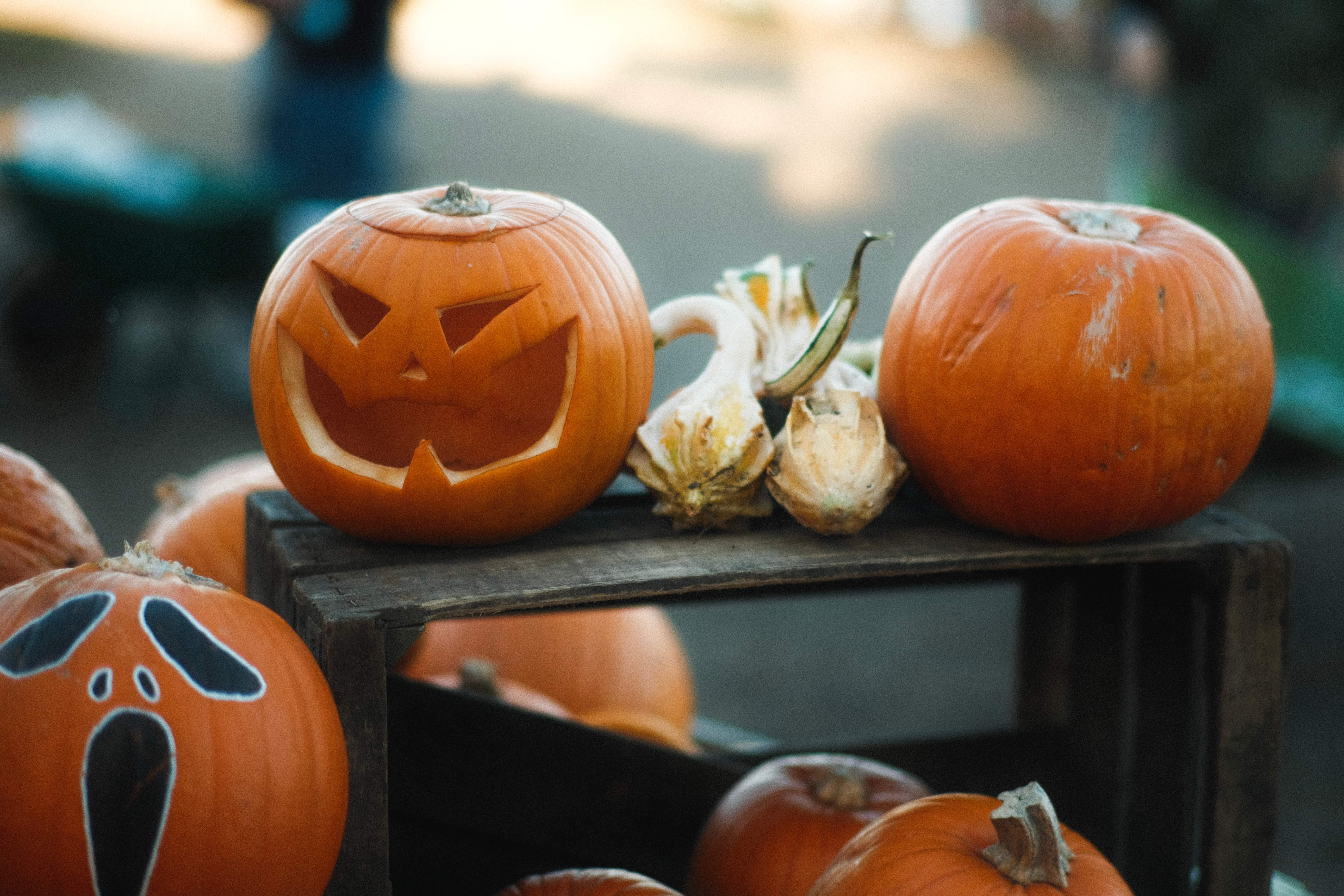 carved-pumpkins-in-France