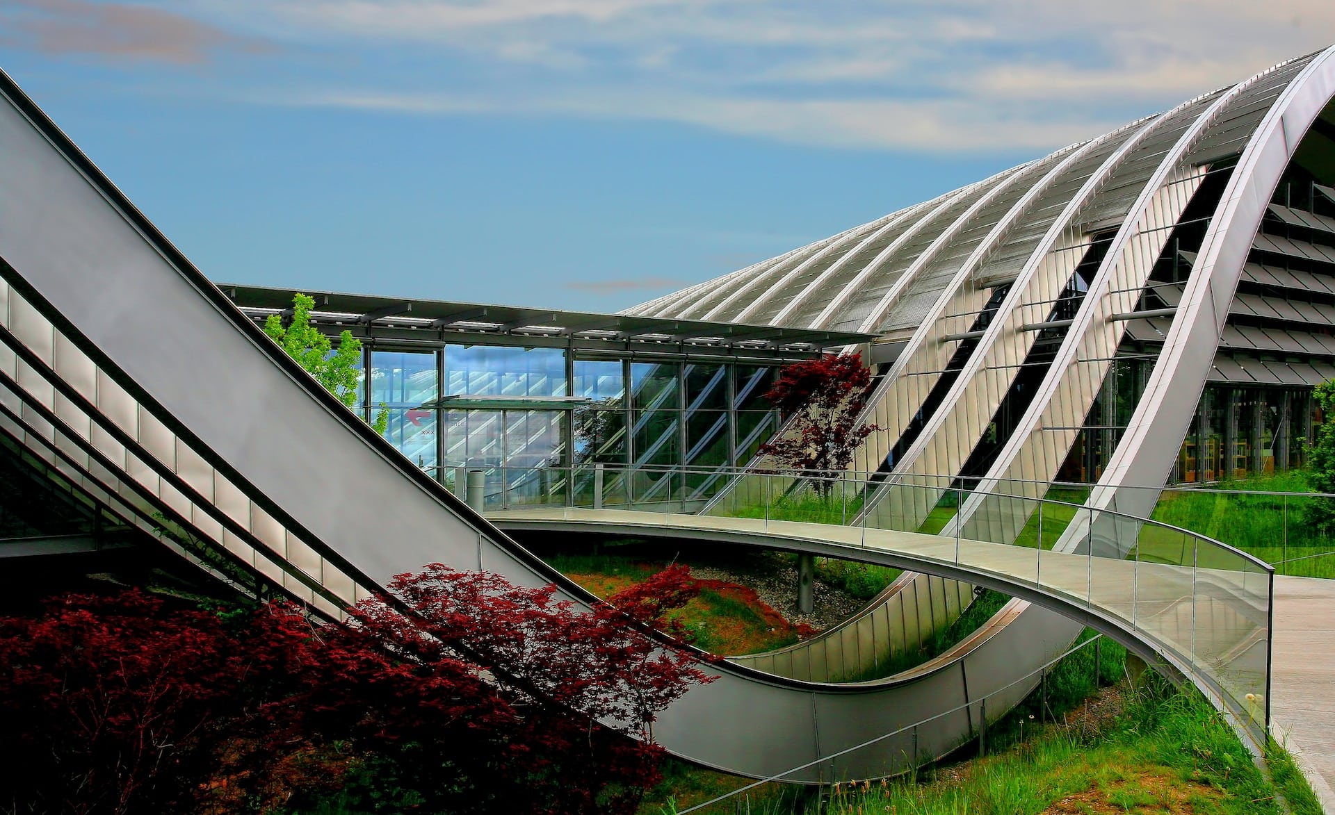 modern building surrounded by trees