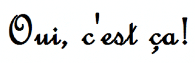 oui cest ca blog logo