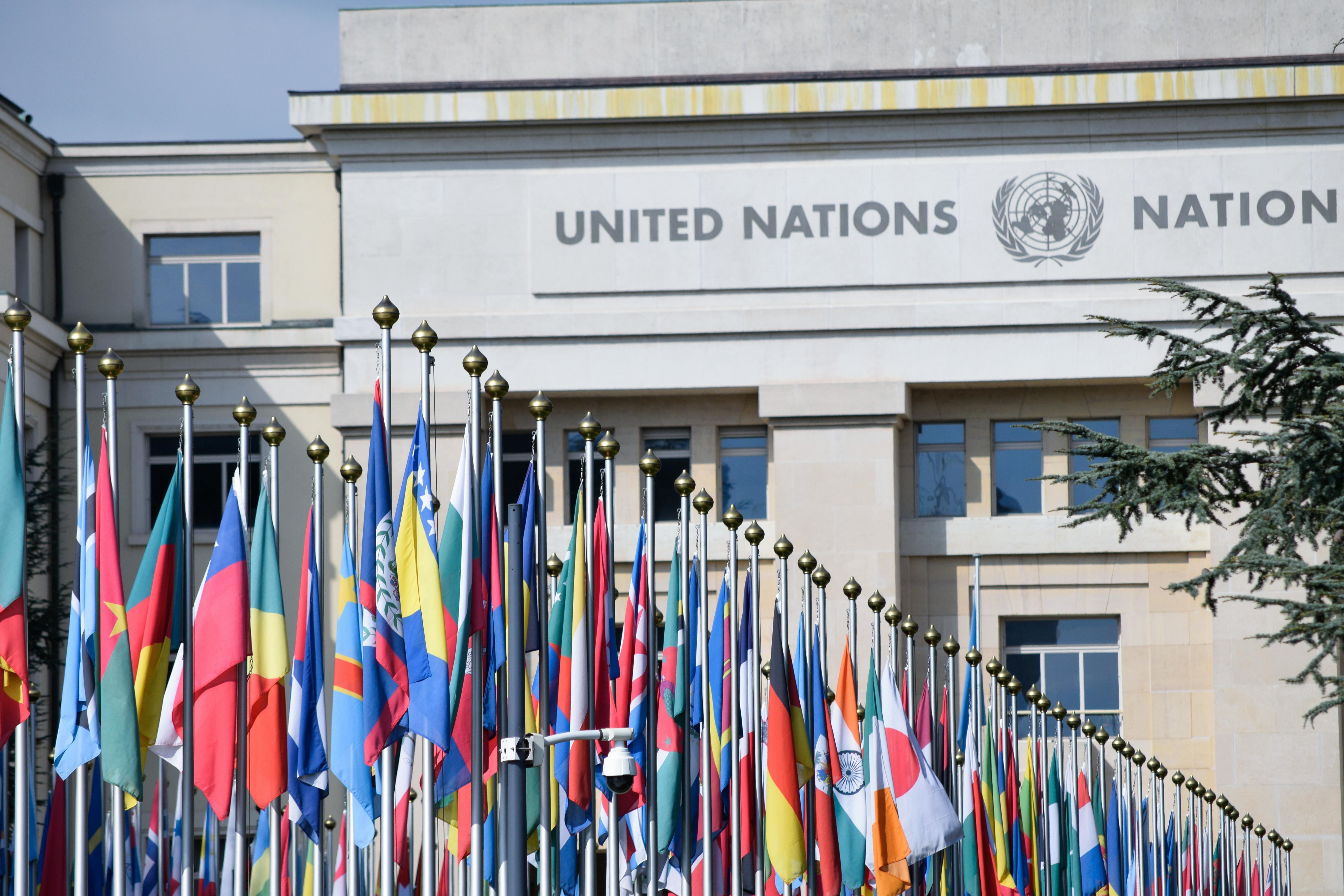 A row of international flags in front of the United Nations building