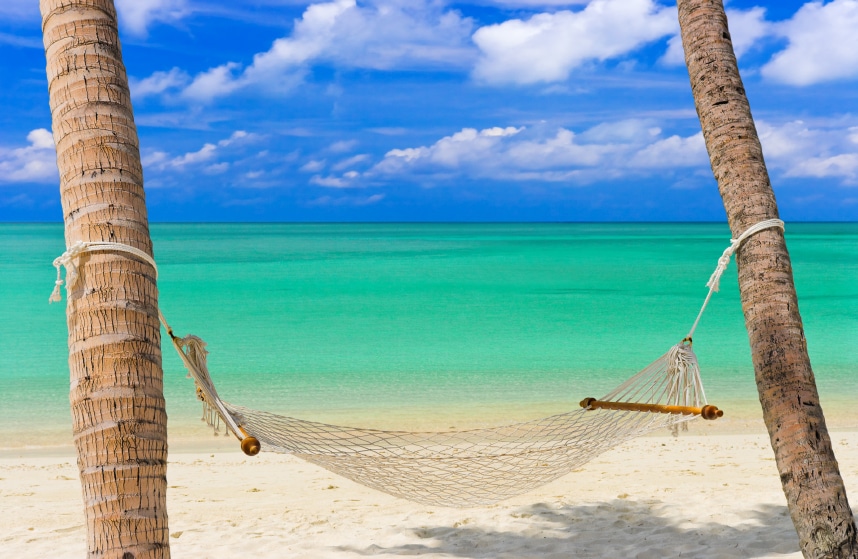 hammock on a tropical beach