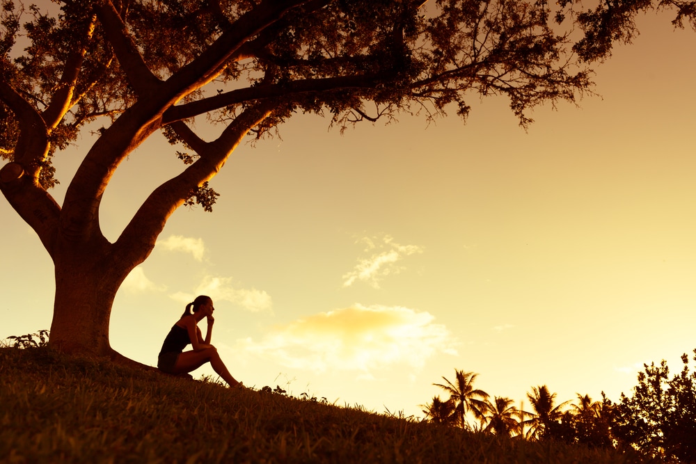 silhouette of tree and person sitting on a field at sunset