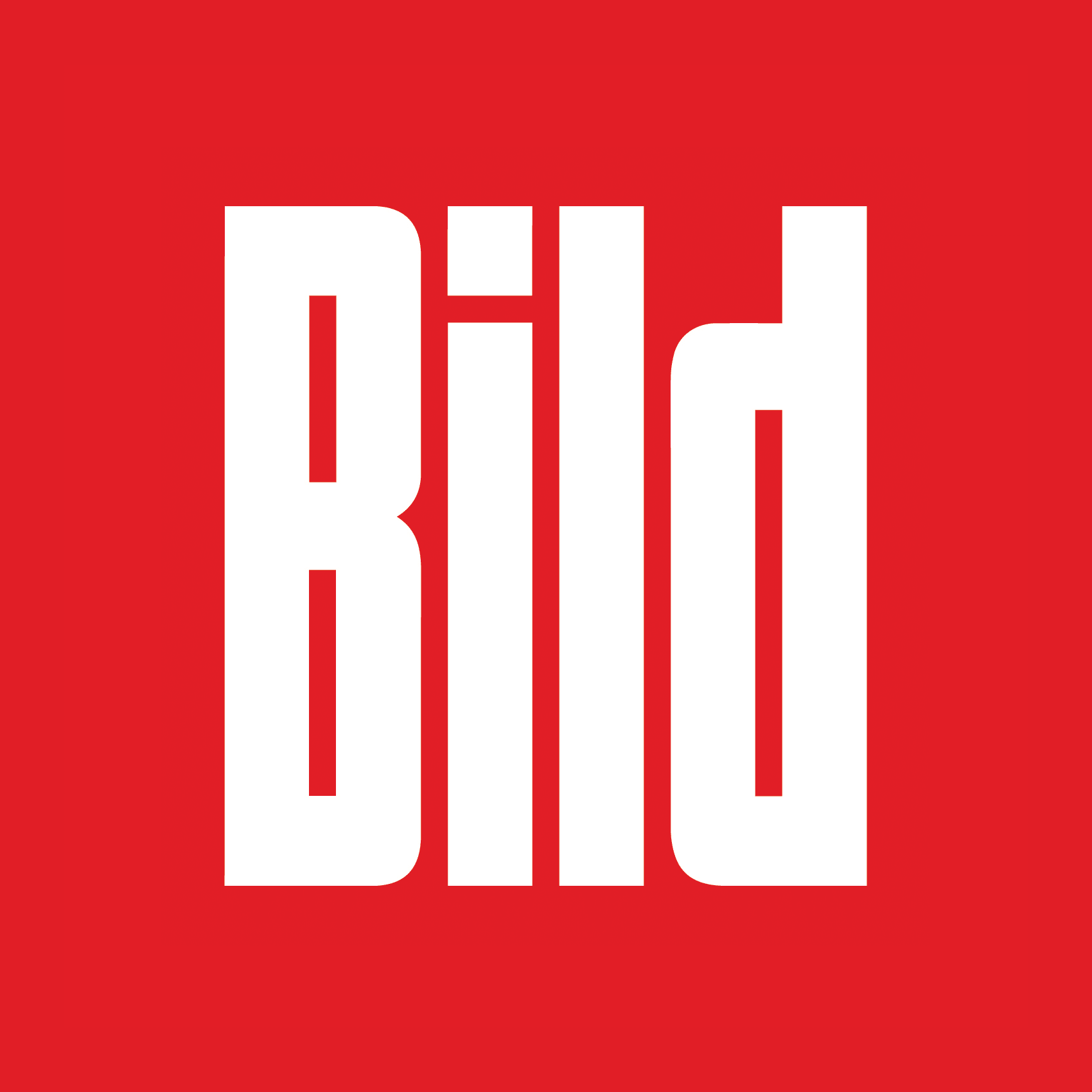 Bild-logo