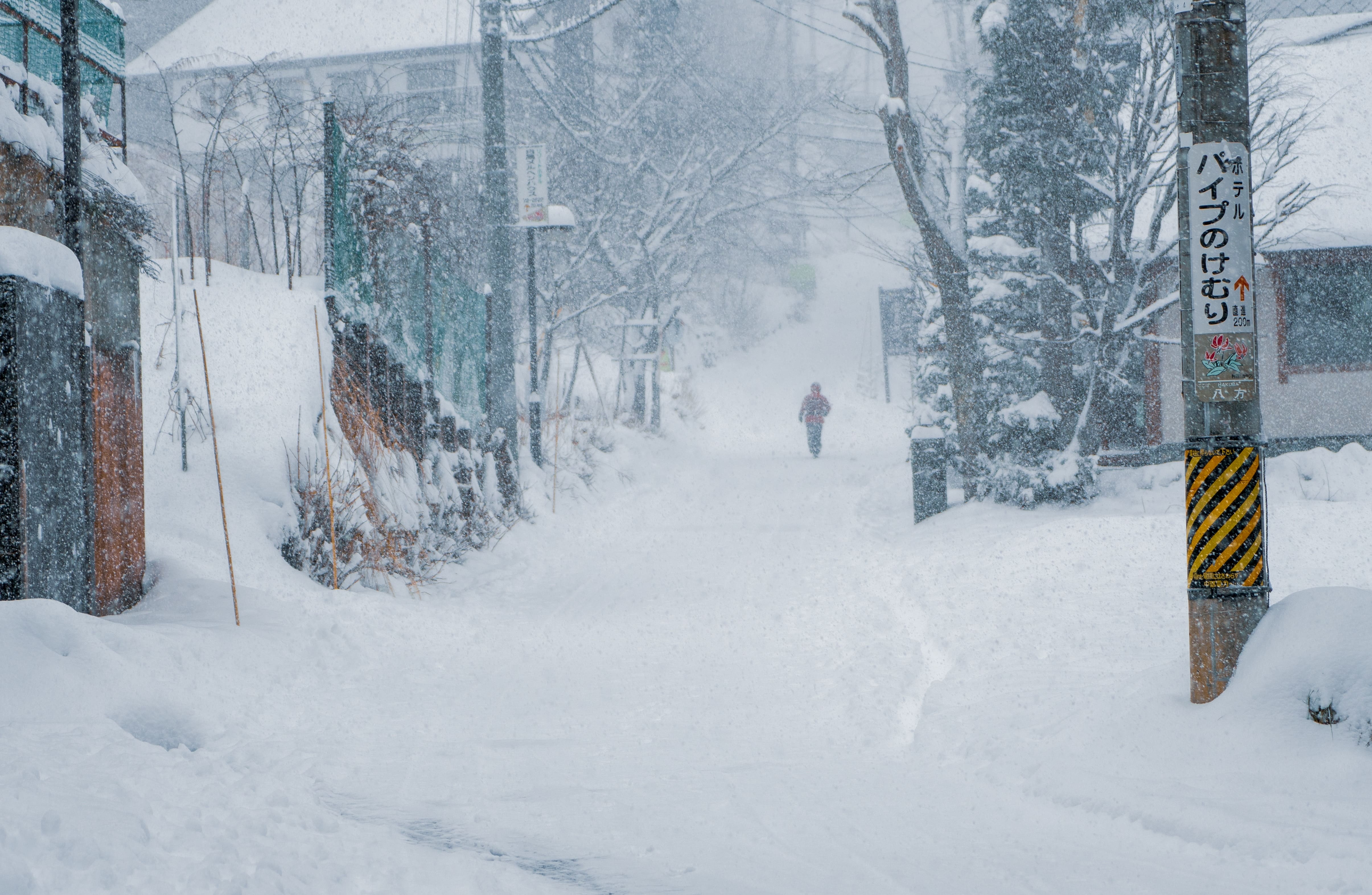 A snowy country lane in Japan