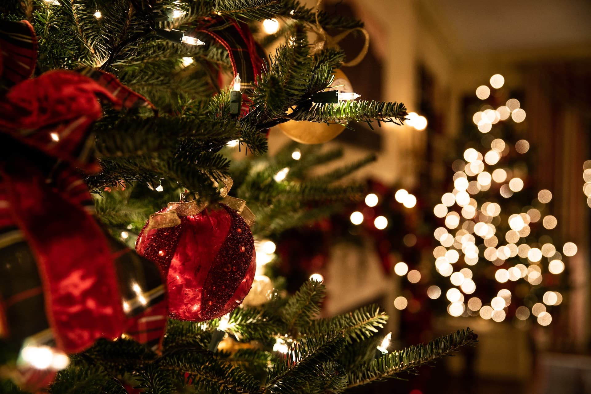 christmas tree in jaoan up close