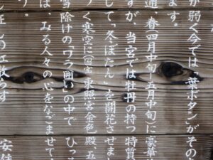 white-japanese-characters-written-against-wood-grain-background