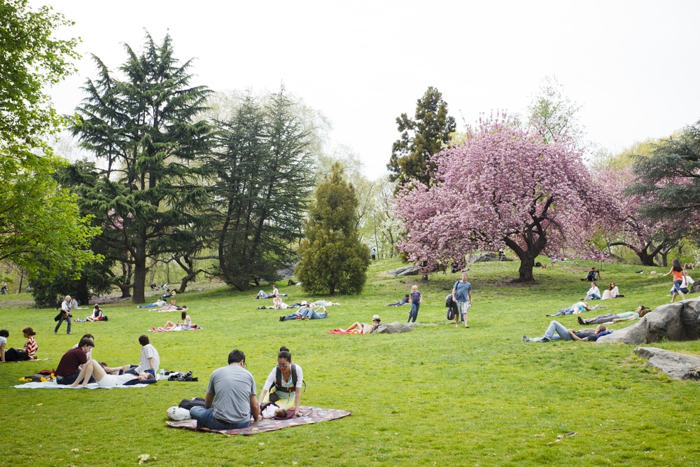 70 French Spring Words (with Audio and Example Sentences) | FluentU ...