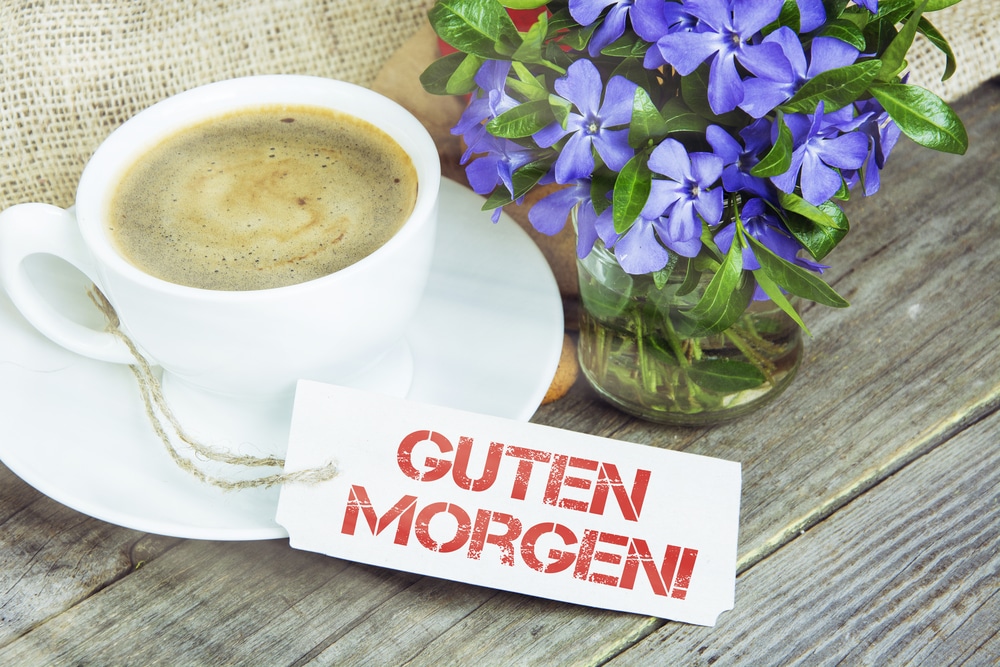 31 Ways to Say Good Morning in German | FluentU